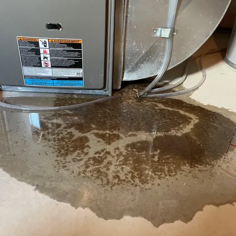 Appliance Leak Cleanup in Beecher, IL